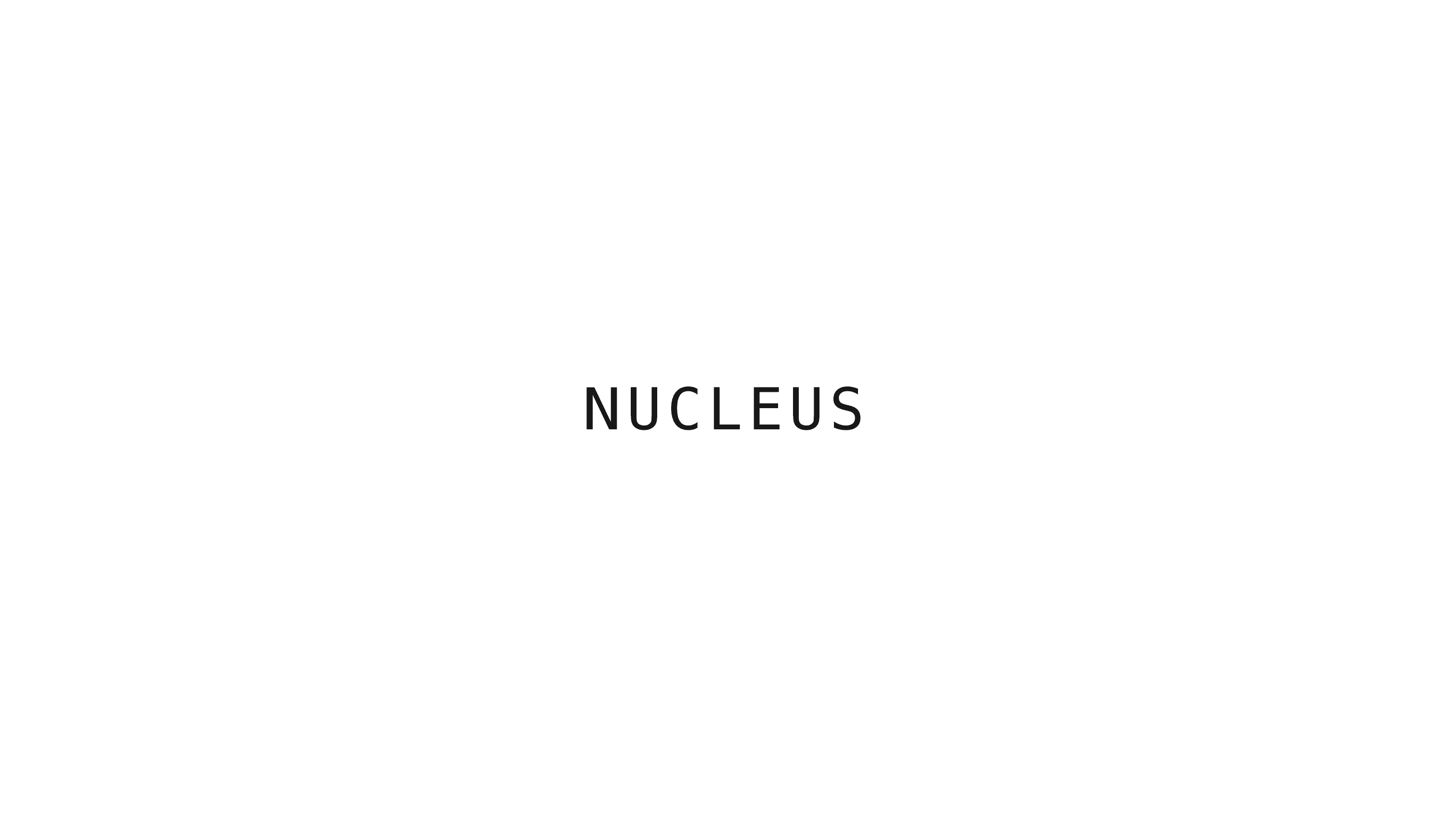 Nucleus screenshot